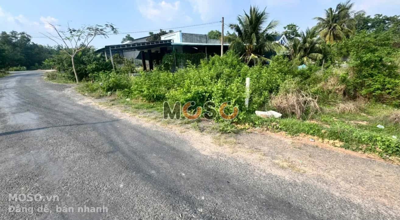 Bán đất Ấp Xóm Bố  Huyện Gò Dầu, Tây Ninh – giá 590 triệu - ảnh 5